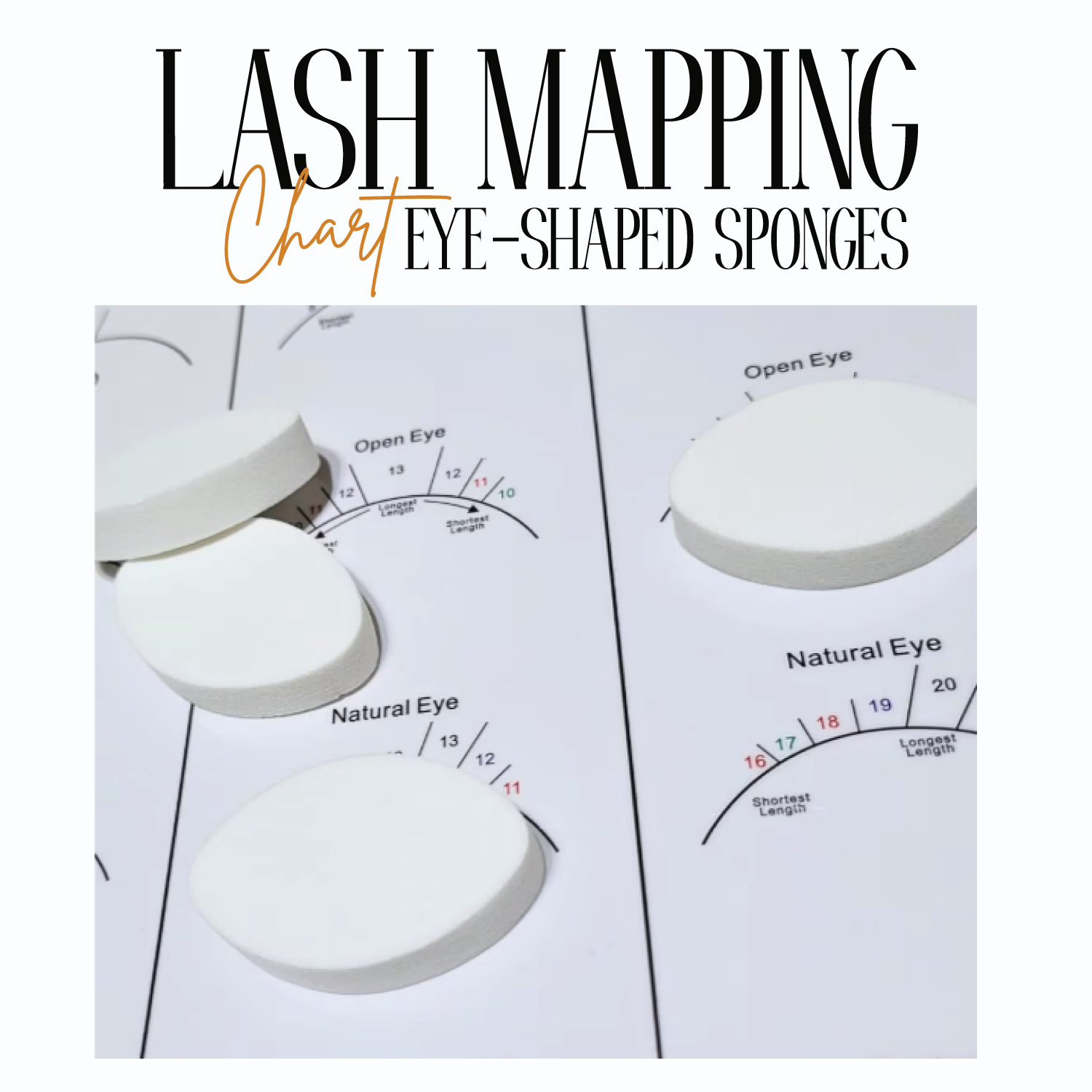 Lash Mapping Chart with Eye-Shaped Sponges - Image 4